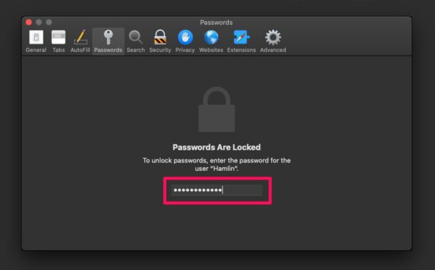 how-to-add-passwords-safari-mac-4