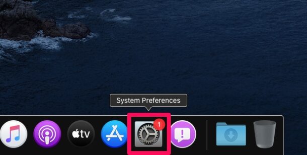 how-to-customize-dock-mac-1